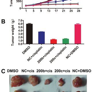 Overexpression Of MiR 200b Or MiR 200c Enhances Cisplatin Sensitivity