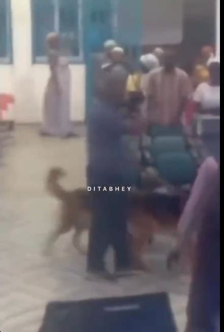 Angry Man Invades A Church In His Neighborhood With Dogs Over Noise