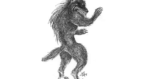 MICHIGAN MONSTERS: Dogman legend continues to howl across state | WWMT