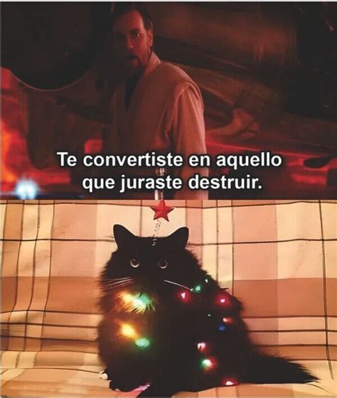 Gatos En Navidad Meme Subido Por Gian Coronado Memedroid