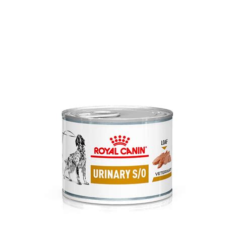 Royal Canin Veterinary Urinary S O Mousse Nassfutter F R Hunde