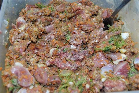 raw dog recipes 3