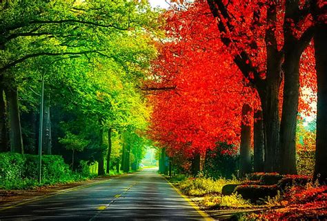 November Colorful Glow Colors Nice Reflection Shine Autumn