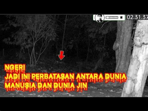 Eksperimen Cctv Penampakan Terjelas Di Hutan Angker Banyak Penunggu