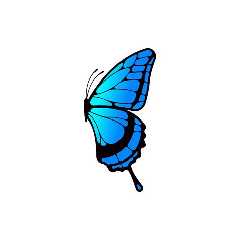 Blue butterfly vector isolated on white baackground. 25560761 Vector ...