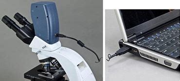 Flinn Infinity Digital Microscope, 5 MP Camera | Flinn Scientific 