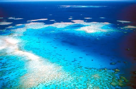 Bild Zu Great Barrier Reef Wie Viel Kostet Das Gr Te Riff Der Erde