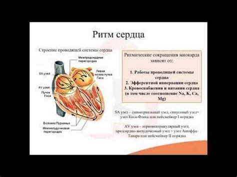20. Антиаритмические средства - YouTube