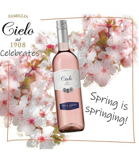 Cielo Pinot Grigio Blush Rose IGT Rose Wijn Faberwineworld Nl