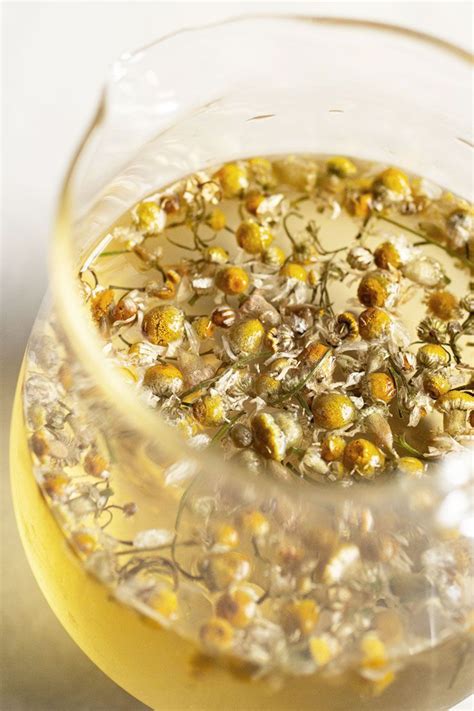 Chamomile Tea Recipe Chamomile Tea Benefits Tea Health Benefits