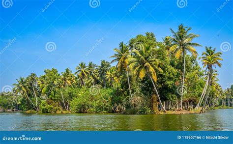 Poovar Island, Kerala, India Stock Photo - Image of asia, neyyar: 115907166