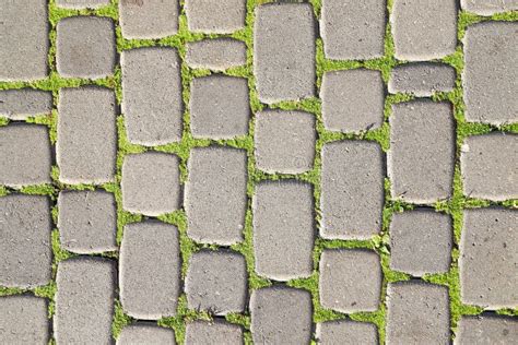 Texture Of Diy Garden Path Made From Concrete Poured In Paver Forms