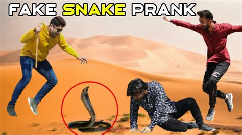 Fake Snake Prank Snake Prank Fake Snake Prank Funny Reaction Youtube