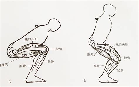 如何正确的深蹲不伤膝盖 知乎