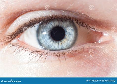 Blue Human Eye Close Up Blue Eyed Man Stock Image Image Of Beautiful