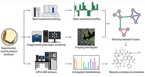 Integrated Platform Promises To Accelerate Drug Discovery Process