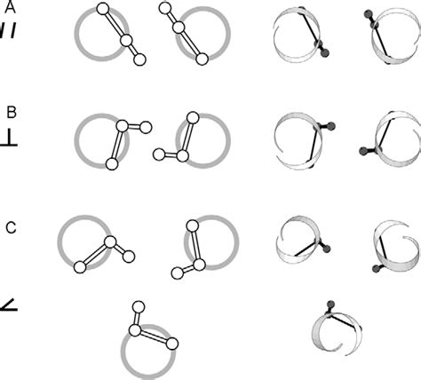 Figure 2 from The design of coiled-coil structures and assemblies ...