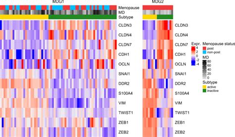 Expression Of Selected Claudin Low And EMT Relevant Genes In MDG1 And