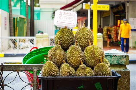 Medan Kalah Jauh Inilah Daerah Penghasil Durian Terbesar Di Sumatera