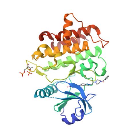 RCSB PDB - 8BR7: Discovery of IRAK4 Inhibitors BAY1834845 and BAY1830839