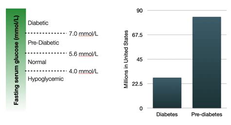 Homeostatic Control Of Blood Glucose Lab