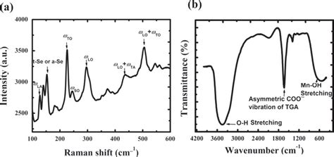 A Raman And B FTIR Spectra Of MnSe TGA QDs TGA 10