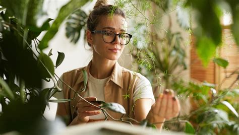 Comment devenir botaniste rôle études et salaire 2025