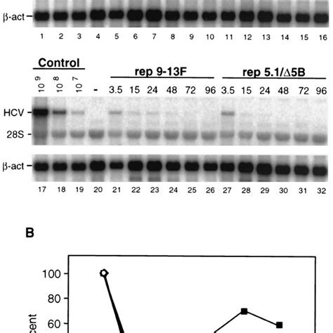 Identification Of Cell Culture Adaptive Mutations Huh 7 Cells Were