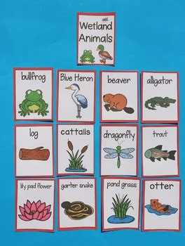 Wetland Animals & Plants ESL ELL by Jill Richardson | TpT