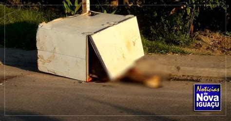 Corpo Encontrado Dentro De Freezer Abandonado Numa Avenida Em Nova