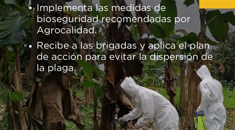 Agrocalidad On Twitter Trabajamos Junto A Los Productores De