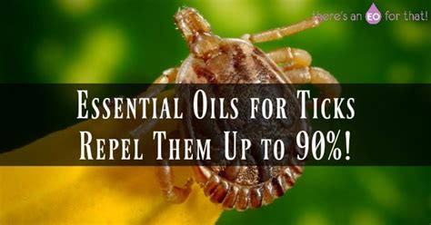 Essential Oils For Ticks Repel Them Up To 90 Theres An Eo For That