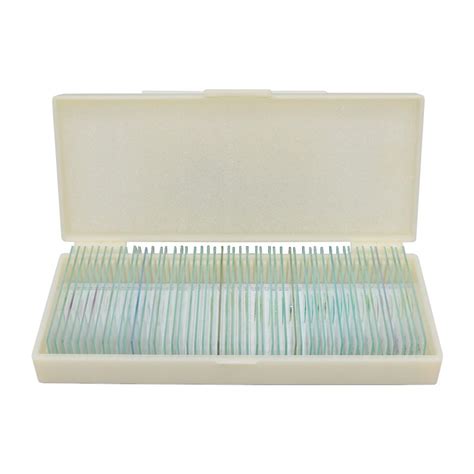 Microscope Slides Prepared Lab Specimens Set 50 Pcs Collection Biology