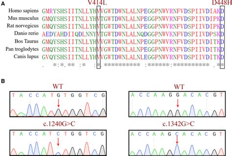 A Evolutionary Conservation Analysis Of A Multiple Sequence Alignment