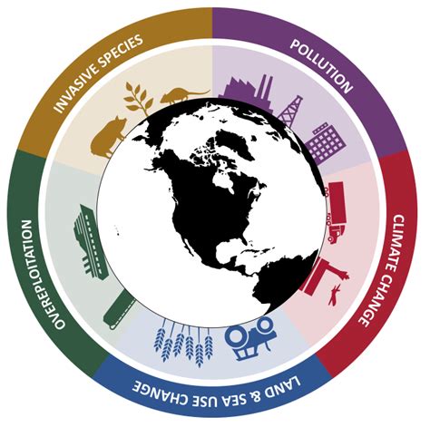 Drivers of Biodiversity Loss: Overexploitation | Defenders of Wildlife