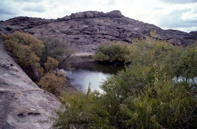 Hueco Tanks State Park & Historic Site Nature — Texas Parks & Wildlife ...