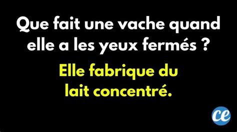 Top 100 Des Histoires Drôles Pour Remonter Le Moral