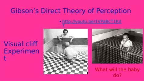 Perception Aqa Gcse Psychology New Spec Teaching Resources