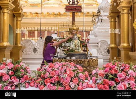 Girl Praying In Shwedagon Pagoda Shwedagon Zedi Daw Yangon Myanmar