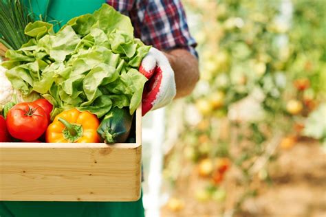 Por que o Selo Orgânico diz tanto sobre o produto CicloVivo