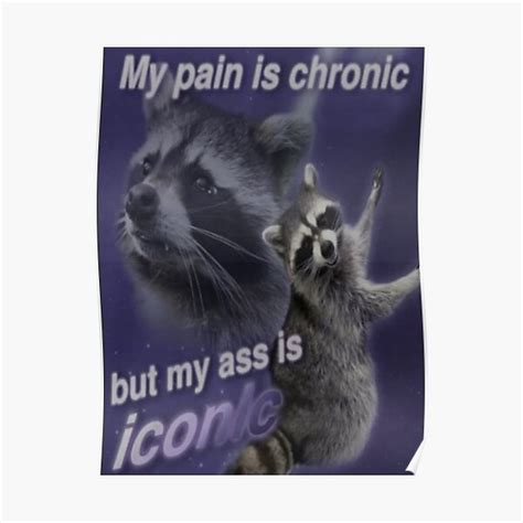 MY PAIN IS CHRONIC BUT MY ASS IS ICONIC Funny Raccoon Quote Poster For Sale By