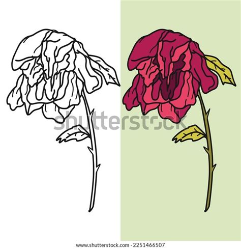 Hand Drawn Withered Flower Vector Illustration Stock Vector Royalty Free 2251466507 Shutterstock