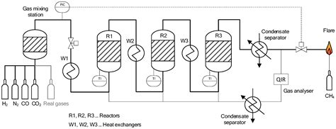 Energies Free Full Text In Situ Catalytic Methanation Of Real