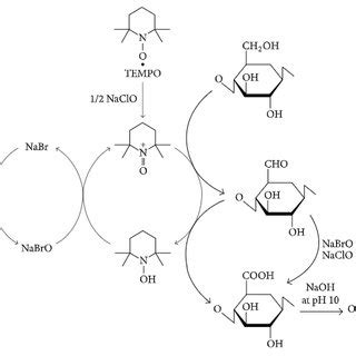 Fig Regioselective Oxidation Of C Primary Hydroxyls Of Cellulose To C