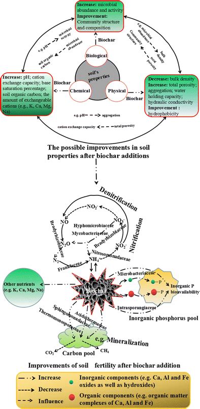 Biochar To Improve Soil Fertility A Review Agronomy For Sustainable