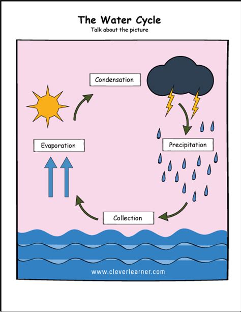 Water Cycle Worksheet Pdf – E-streetlight.com