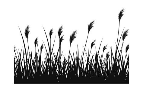 A Grass Vector Black Silhouette Isolated On A White Background 36174094