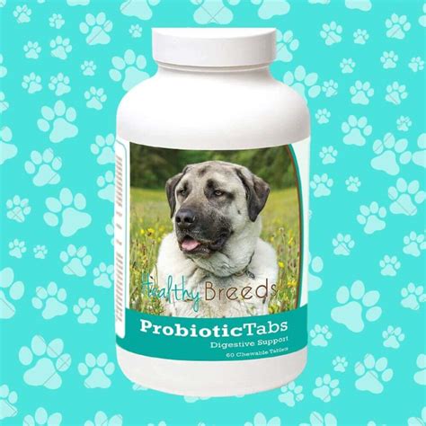 Give Your Dog the Best Probiotic Care for Optimal Health