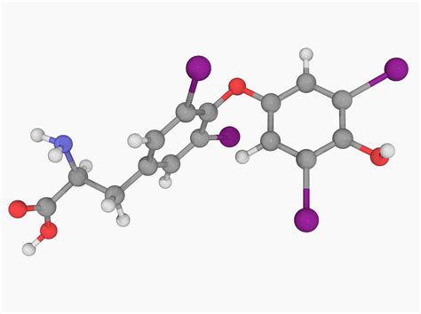 Levothyroxine Drug Molecule 4 By Science Photo Library