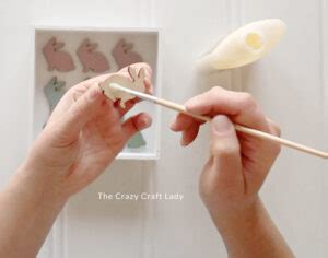 DIY Easter Bunny Specimen Art The Crazy Craft Lady